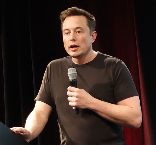 Elon Musk Tesla részvény bukás