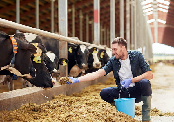 agrárium Állattartó telepek megújításának támogatása pályázat