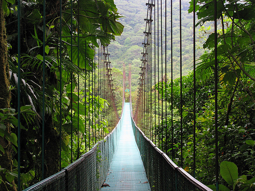 Forrás: Monteverde Cloud Forest Reserve