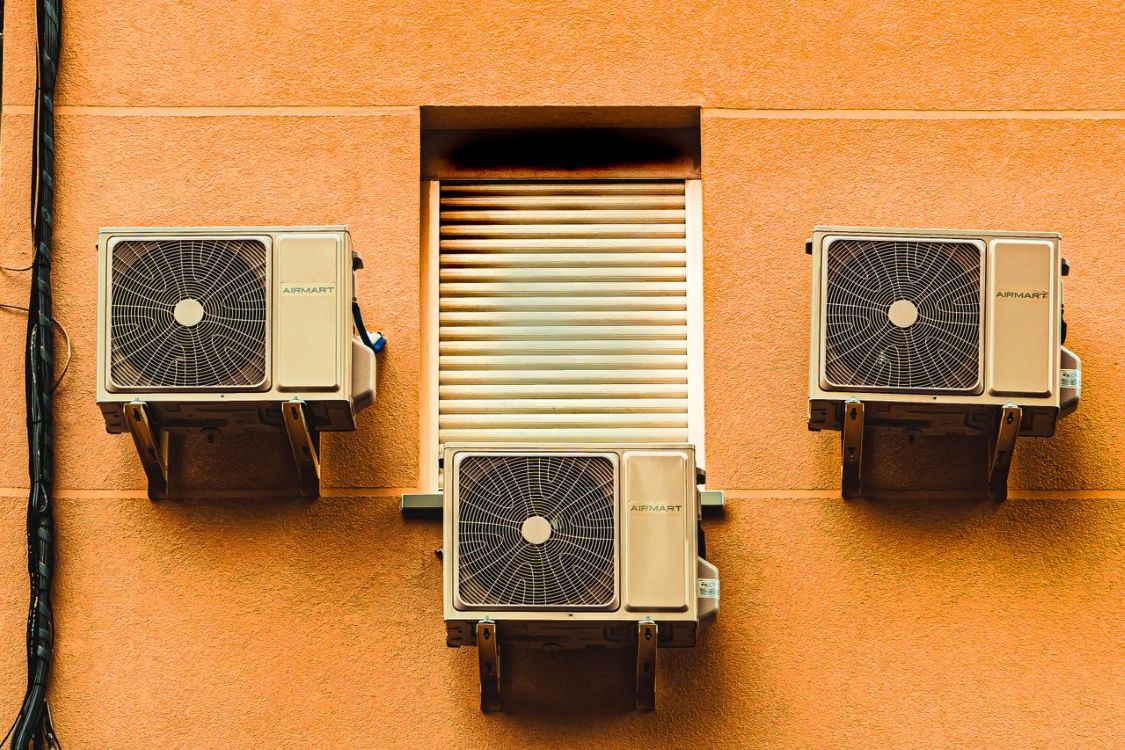 aaug pexels joseantoniogallego 5539540