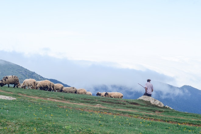 tájban élő emberek pásztorok, gazdák ökológiai tudása