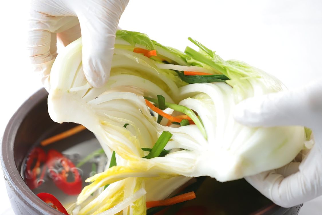 alpegasu kimchi 7613318 1280