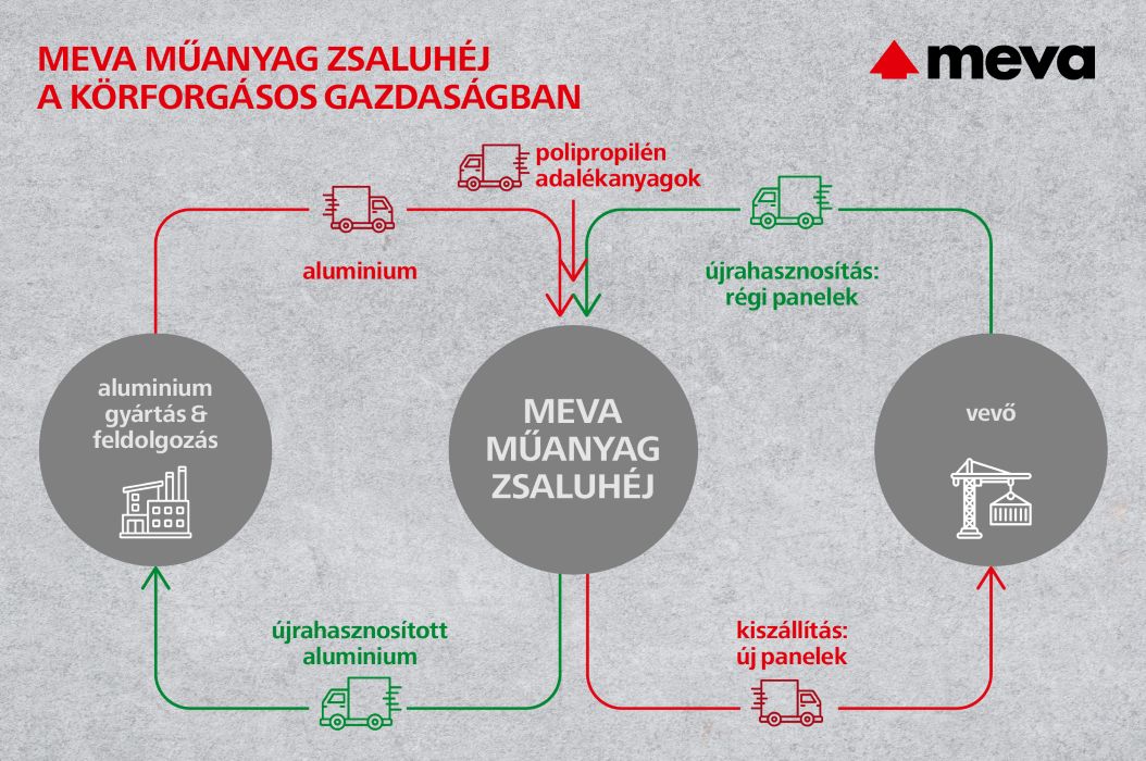 ameva zsaluhéj ábra uj verzio