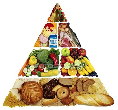 táplálkozási piramis 