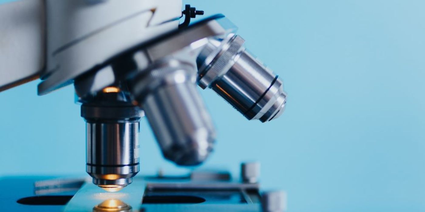 szintetikus emberi embrió