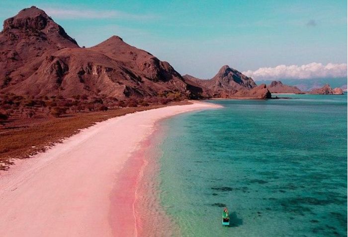 Komodó Rózsaszín Part