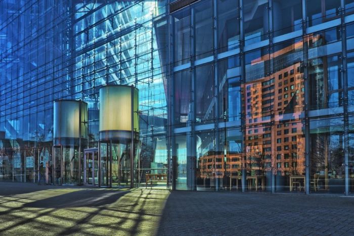 fényszennyezés madárpusztulás