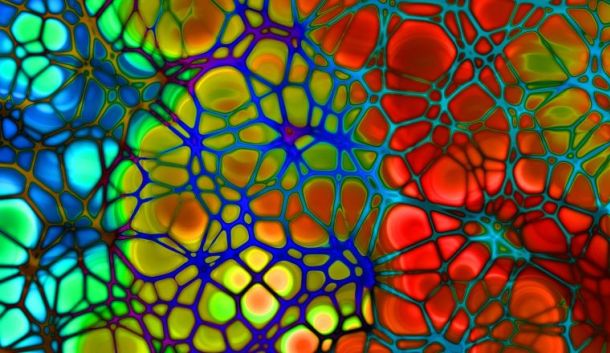 mikroműanyag szennyezés ember vér