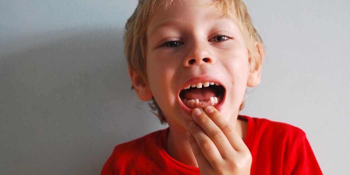 fog visszanő japán kutatás