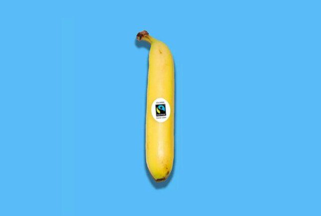 fairtrade egyenes banán