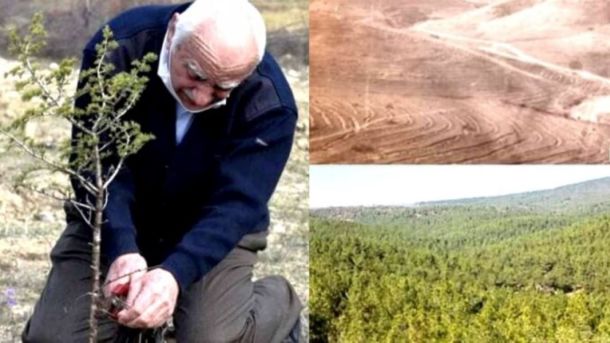 Hikmet Kaya Törökország