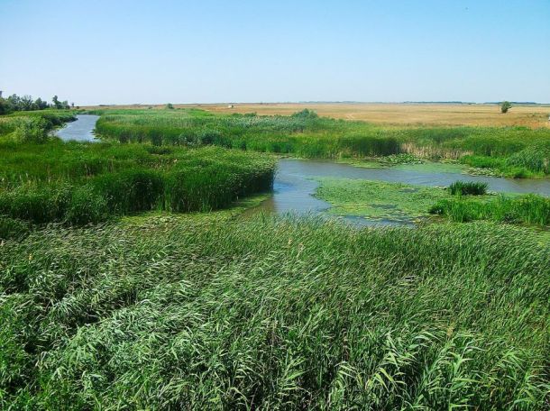 Hortobágy folyó régi meder visszaterelés