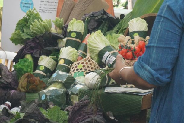 Rimping szupermarket műanyag zacskó kiváltás