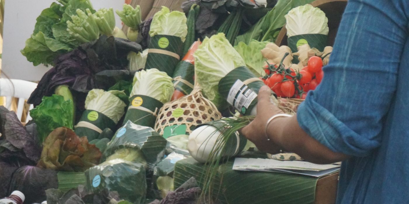 Rimping szupermarket műanyag zacskó kiváltás